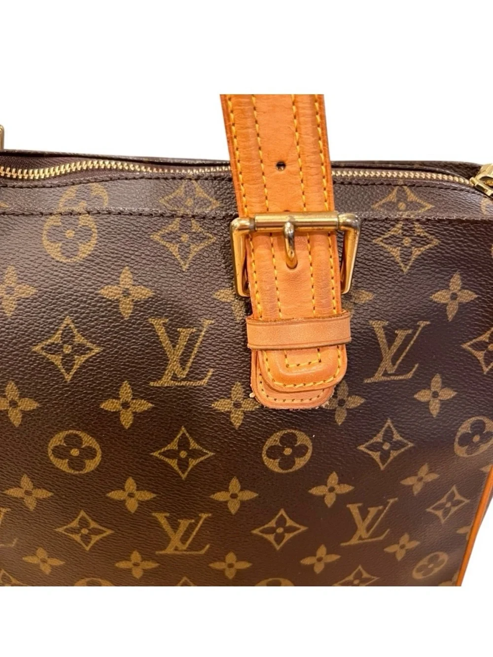 Louis Vuitton Monogram Multipli-Cite Tote